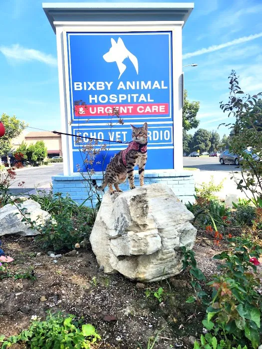 Bixby Animal Hospital & Urgent Care Picture 8