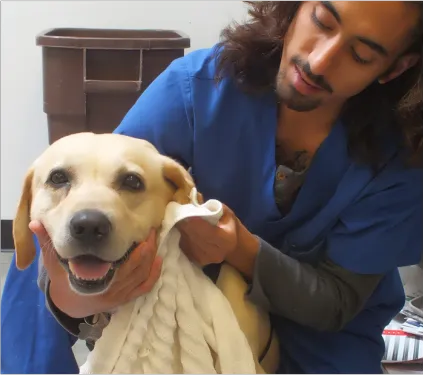 P.V. Village Pet Hospital Picture 8