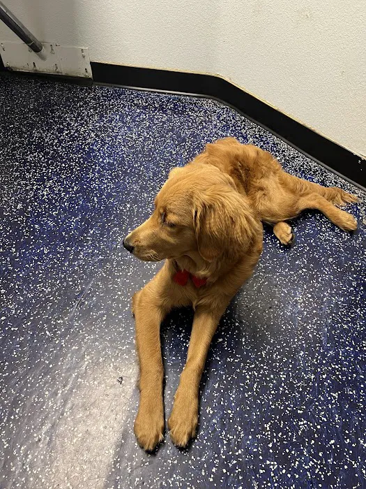 Noah's Ark Animal Hospital Picture 4