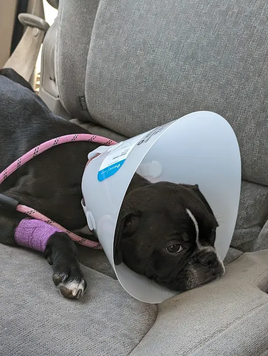 Noah's Ark Animal Hospital Picture 2