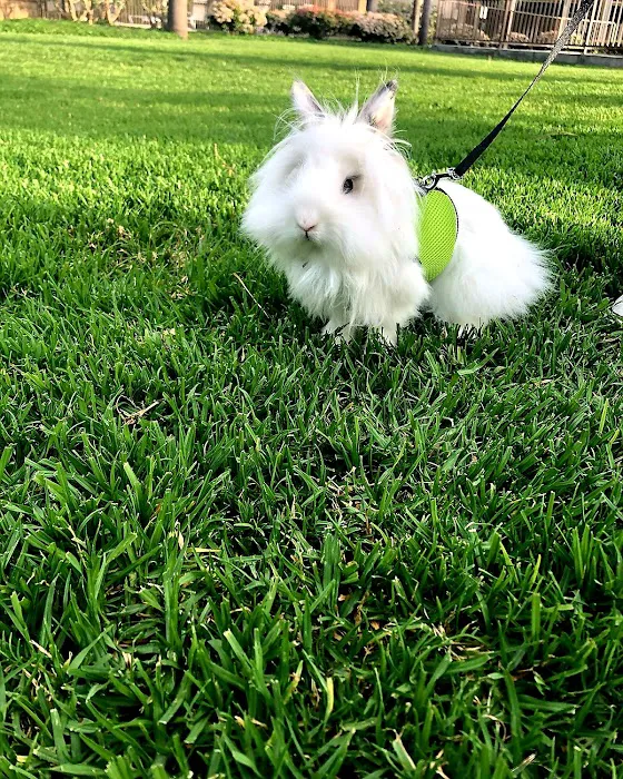 Noah's Ark Animal Hospital Picture 8