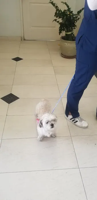 Fullerton Hills Pet Clinic Picture 1