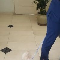 Fullerton Hills Pet Clinic ico
