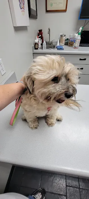Sunnycrest Animal Care Center Picture 4