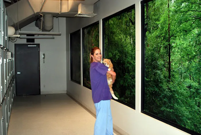 Sunnycrest Animal Care Center Picture 6