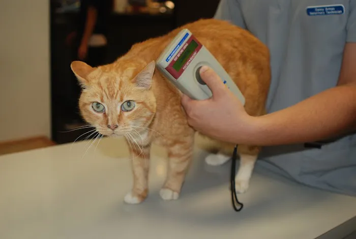 Sunnycrest Animal Care Center Picture 8