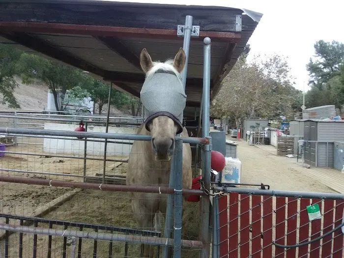 Sunnycrest Animal Care Center Picture 1