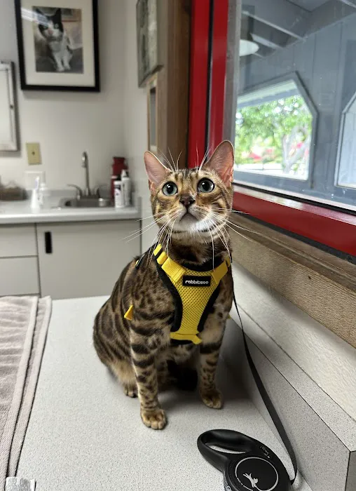 Sunnycrest Animal Care Center Picture 7