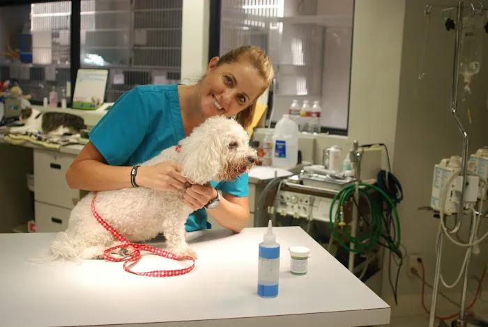 Sunnycrest Animal Care Center Picture 2