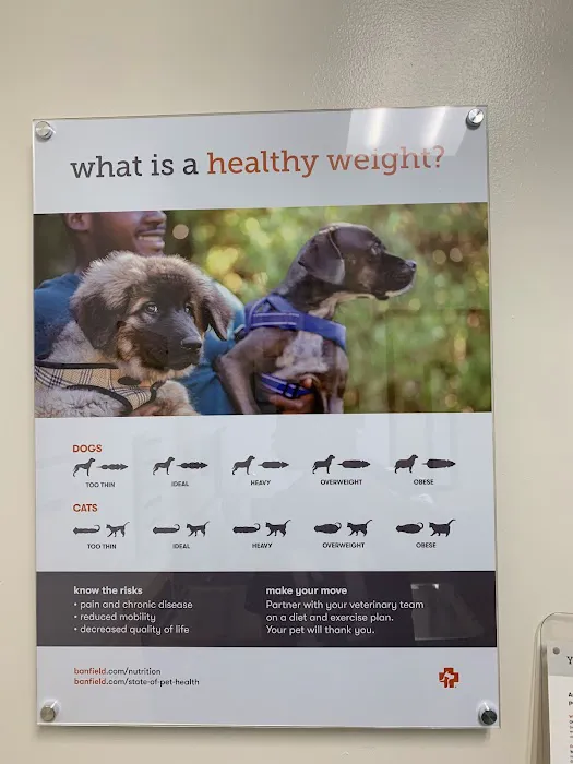 Banfield Pet Hospital Picture 10