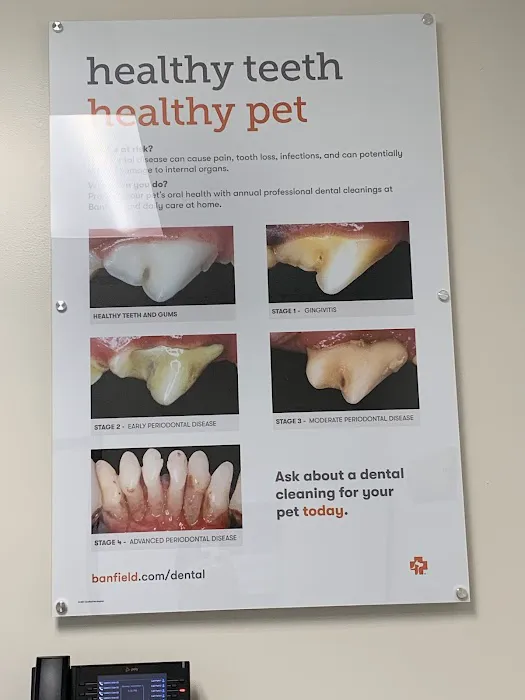 Banfield Pet Hospital Picture 8