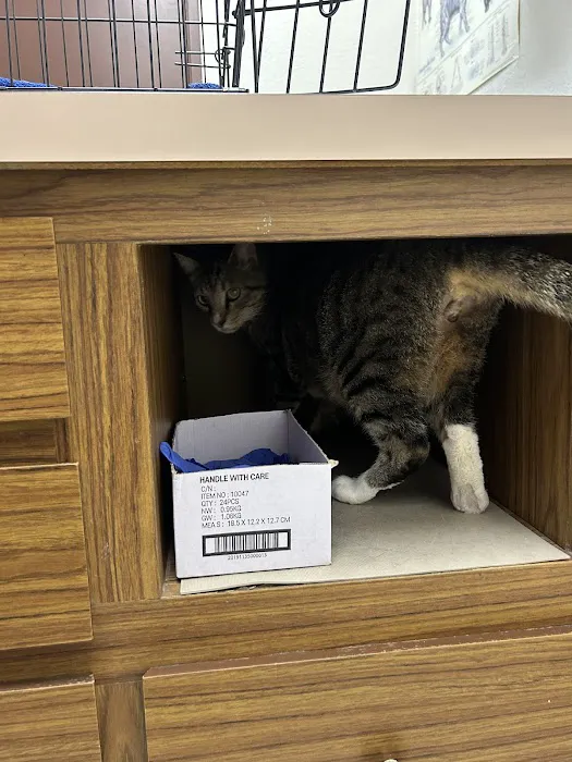 Jet's Pet Hospital Picture 10