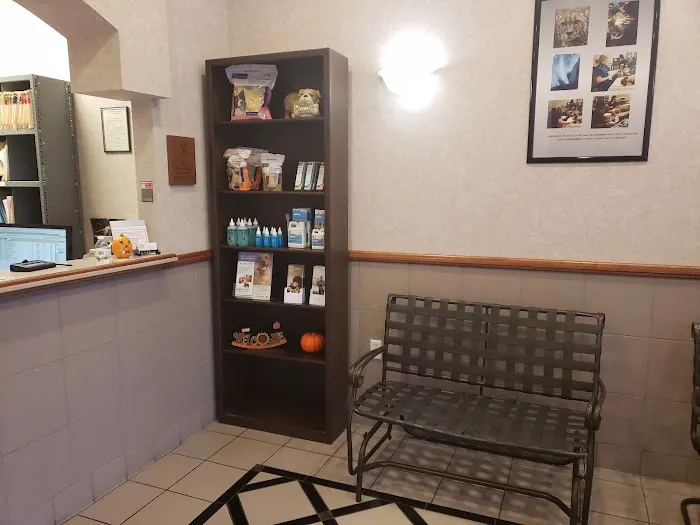 Texas Veterinary Dental Center Picture 3