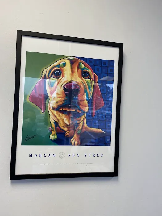 Elite Animal Hospital Picture 4