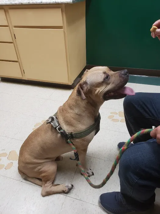 Mission Bend Animal Clinic Picture 8