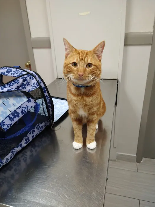 Mission Bend Animal Clinic Picture 7