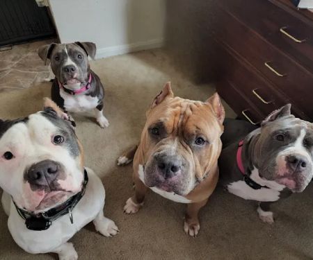 Mission Bend Animal Clinic