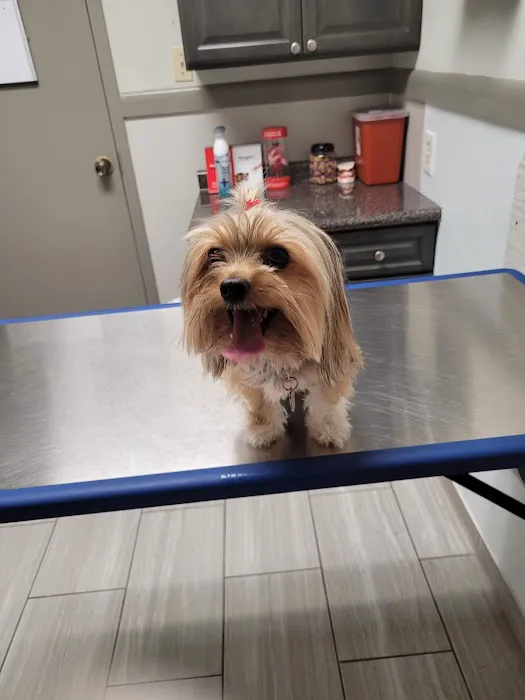 Mission Bend Animal Clinic Picture 9