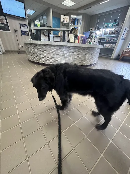 West Houston Veterinary Medical Associates Picture 4
