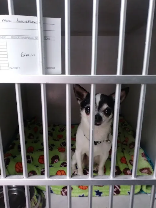 West Houston Veterinary Medical Associates Picture 7