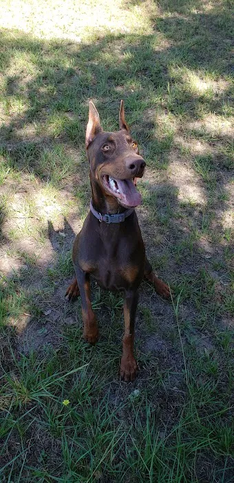 Bear Creek Animal Clinic Picture 10