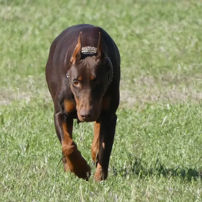 Bear Creek Animal Clinic Picture 5