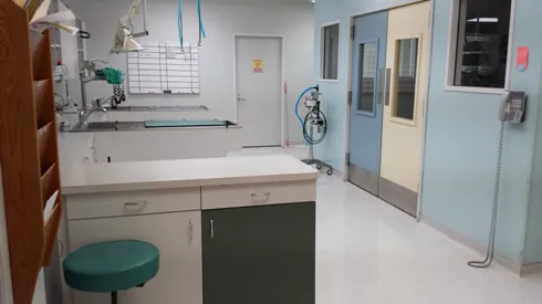Copperfield Animal Clinic Picture 3