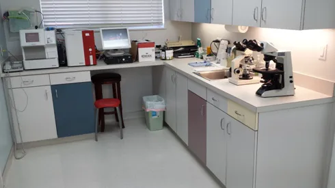 Copperfield Animal Clinic Picture 2