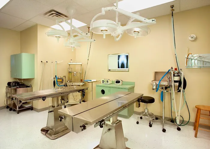 Crossroads Animal Clinic Picture 7