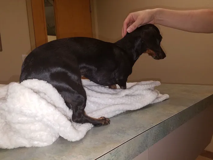 Crossroads Animal Clinic Picture 8