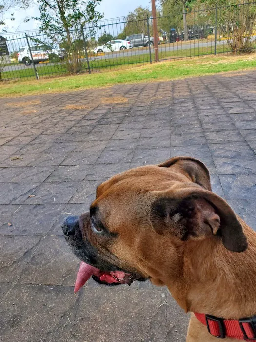 Clay Road Animal Clinic Picture 9