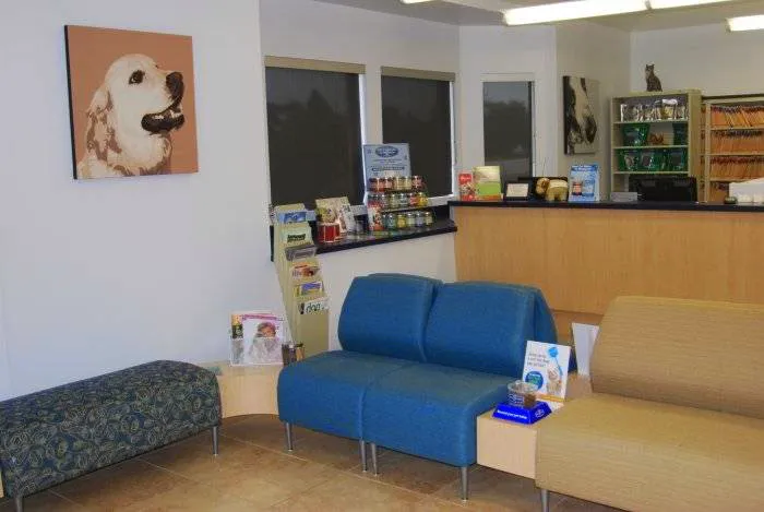 VCA Telge Road Animal Hospital Picture 4