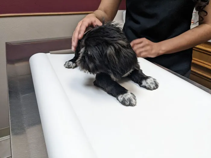 249 Animal Clinic Picture 5