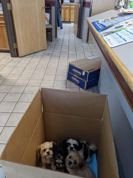 249 Animal Clinic Picture 9