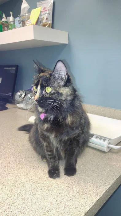 Glenwood Falls Animal Hospital Picture 8