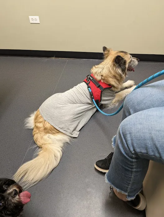 Glenwood Falls Animal Hospital Picture 6
