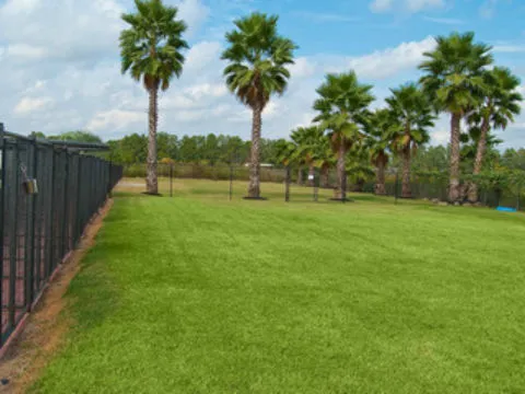 Longwood Animal Hospital and Pet Resort Picture 8
