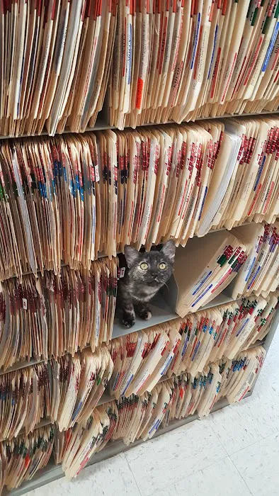 Lakewood Forest Veterinary Hospital Picture 3