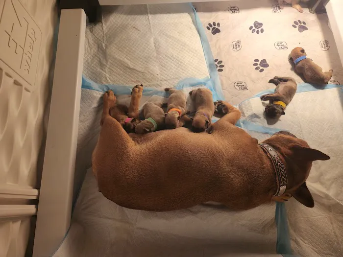 Cy-Fair Animal Hospital Picture 6