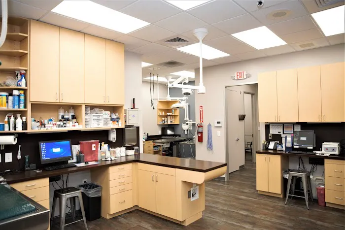 Cole Veterinary Hospital at Legends Ranch Picture 4