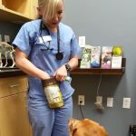 Cole Veterinary Hospital at Legends Ranch