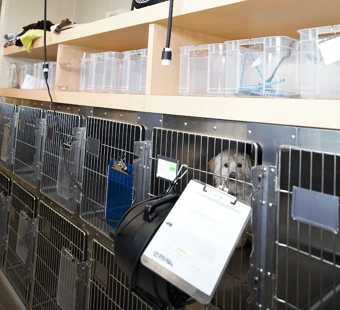 Cole Veterinary Hospital at Legends Ranch Picture 9