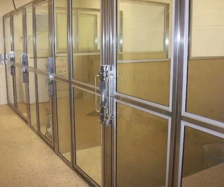 VCA Four Seasons Animal Hospital