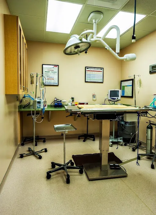 VCA Four Seasons Animal Hospital Picture 4