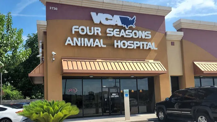 VCA Four Seasons Animal Hospital Picture 7