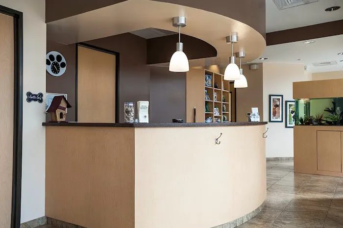 VCA Four Seasons Animal Hospital Picture 2