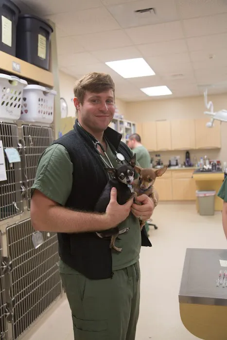 VCA Four Seasons Animal Hospital Picture 10