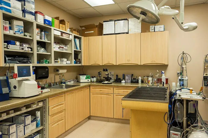 VCA Four Seasons Animal Hospital Picture 6