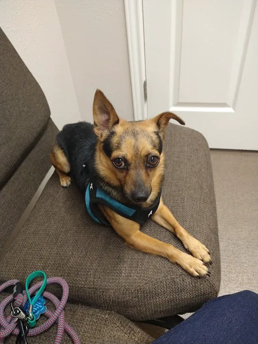 My Family Vet Picture 1