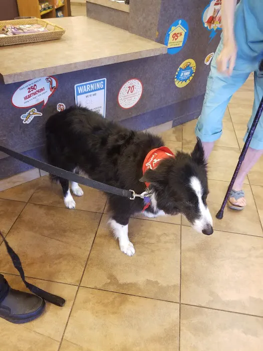 VCA Woodlands Animal Hospital Picture 1